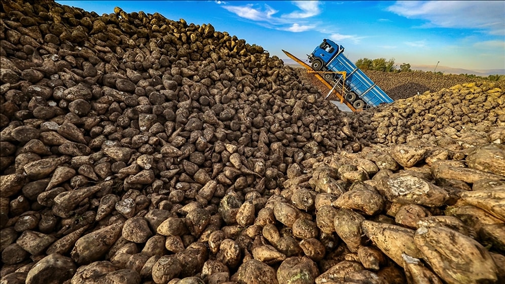 Sıfır Gümrükle 400 Bin Ton Şeker İthal Edilecek
