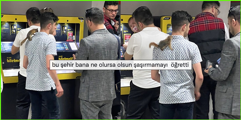 Yaşadıkları Komik Olayları Tweet'leyerek Bu Hafta da Yüzümüzü Güldürmeyi Başarmış 17 Kişi
