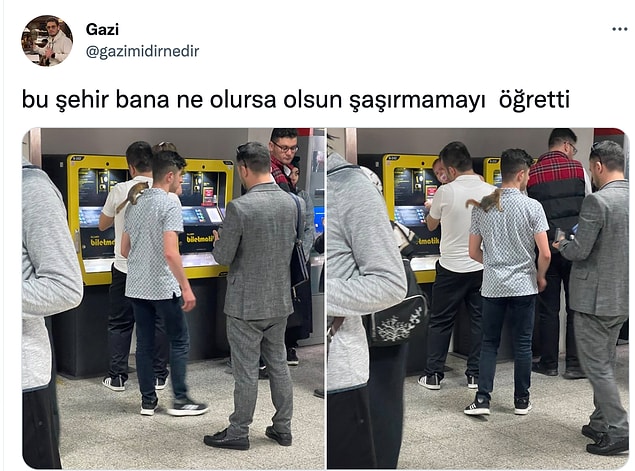 15. New York mu kardeşim burası?