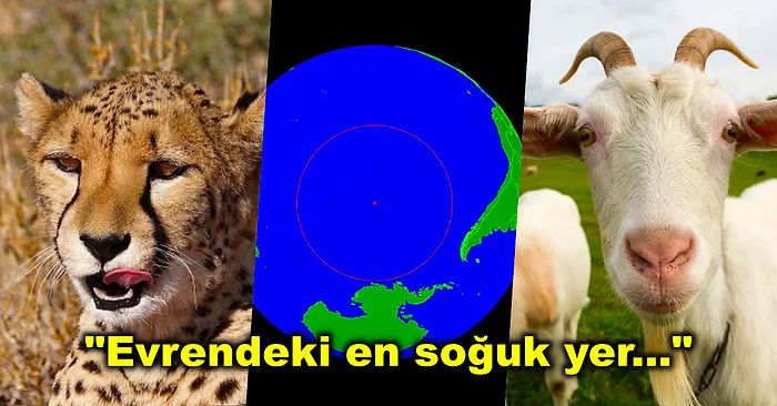 Kulağa Sahte Geliyor Olsa da Doğru Olduklarını Kanıtlayabileceğimiz Şaşırtıcı 14 Gerçek