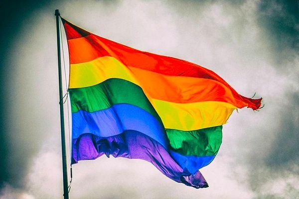17. Danimarka, 1989 yılında eşcinsel birliktelikleri yasalaştıran ilk ülkedir.