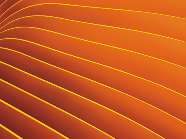 11. L'orange est la couleur nationale du pays.