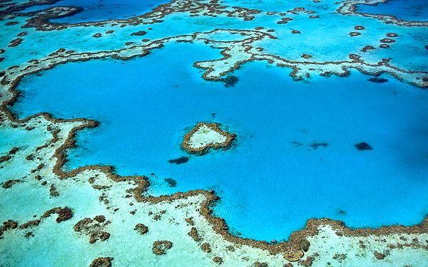 8. "Avustralya. Büyük Set Resifi'ne şnorkelle yüzmeye giderken dizlerinin arkasına veya hiçbir yere güneş kremi sürmemek."
