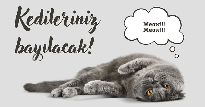 Kedi Ebeveynleri Buraya! Kedi Kumunu Her Yerden Temizlemeye Son Verecek Kedi Kumu Paspasları