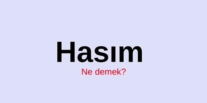 Hasım Ne Demek? Hasım Kelimesi Hangi Anlamlarda Kullanılır? Hasım Kelimesi TDK Sözlük Anlamı