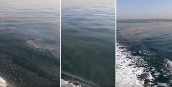 Yalova'da Müsilaj Oluşumları Tespit Edildi: Önümüzdeki Günlerde Hızla Yayılabilir