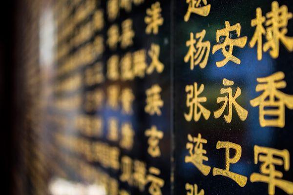 5. "Çince harfler yıllar boyunca değişime uğramış. Eskisini anlamak bazen imkansıza yakın gibi bir şey!"