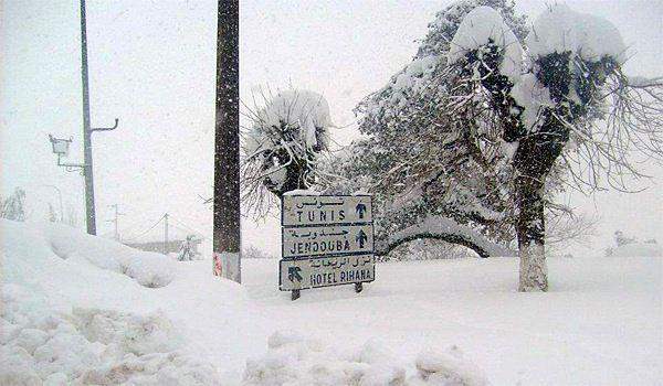 2. Afrika'ya kar yağmadığını düşünüyorsanız yanılıyorsunuz! Kuzey Afrika, Tunus'tan şu fotoğrafa bakın 👇