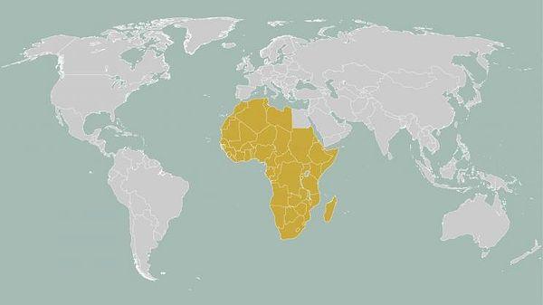 United States of Africa "Afrika Birleşik Devletleri" uzun süredir var olan bir düşünce.