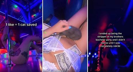 Kardeşinin Bekarlığa Veda Partisine Striptizci Olarak Çağrılan Kadın: Tamamen Çıplak Olana Kadar Fark Etmemiş