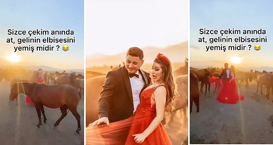 Düğün Fotoğrafı Çekimini Atlarla Yapan Gelin ile Damada Şok: At, Gelinin Elbisesini Yedi!