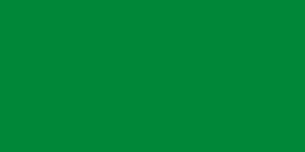 12. 1977'den 2011'e kadar Libya, bayrağında tek bir renge sahip, hiçbir amblemi, tasarımı veya diğer detayları olmayan dünyadaki tek ülkeydi.