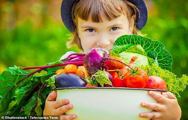 2021'de yapılan ve Amerikan Klinik Beslenme Dergisi'nde yayımlanan bir çalışma Polonya'da 5-10 yaş arası vegan, vejetaryen ve et ve hayvan ürünleri yiyen çocukların sağlık durumlarını karşılaştırdı.
