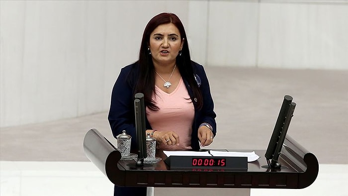 Sevda Erdan Kılıç Kimdir? CHP'li Milletvekili Sevda Erdan Kılıç Kaç Yaşında, Nereli? Hangi Görevlerde Bulundu?