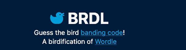 BRDL ise bir kuşun ismini tahmin etme oyunu!