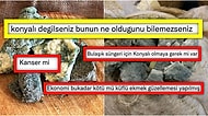 Konya'ya Özgü Küflü Tulum Peynirinin Tuhaf Görüntüsüne Gelen Birbirinden Komik Benzetmeler