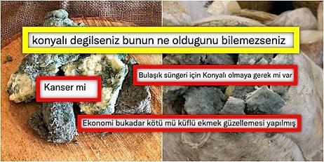 Konya'ya Özgü Küflü Tulum Peynirinin Tuhaf Görüntüsüne Gelen Birbirinden Komik Benzetmeler
