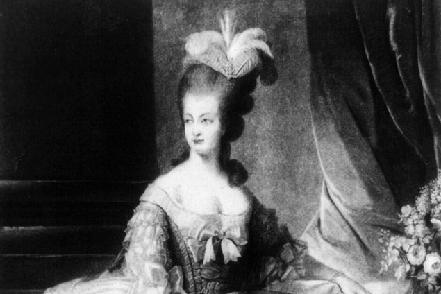4. Marie Antoinette hiçbir zaman "Ekmek bulamıyorlarsa pasta yesinler!" dememiştir.