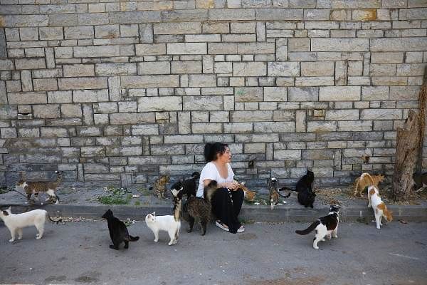 'Her yerde ölüler toplamaya başladık'