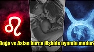 Cinselliğin Ön Planda Olduğu Bir İlişkinin Başrollerinde Olan Boğa ve Aslan Burcu Uyumu!
