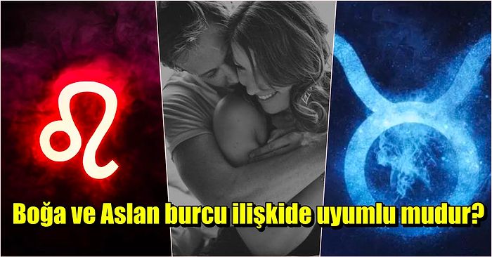 Cinselliğin Ön Planda Olduğu Bir İlişkinin Başrollerinde Olan Boğa ve Aslan Burcu Uyumu!