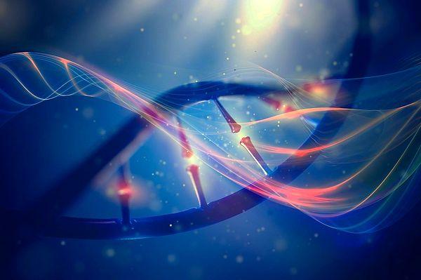 Birmingham Üniversitesi'ndeki araştırmacılar, kanser hücrelerinin DNA hasarını onarabileceği yeni bir yol keşfetti.