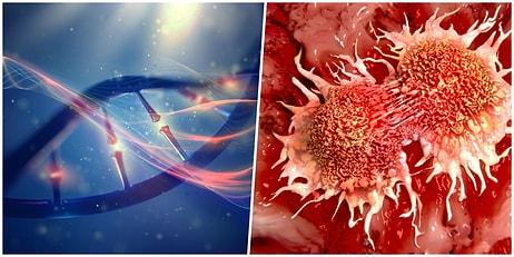 Sağlık Alanında Çığır Açacak Gelişme: Kanser Hücrelerinin DNA Hasarını Onarabileceği Yeni Bir Yol Keşfedildi!