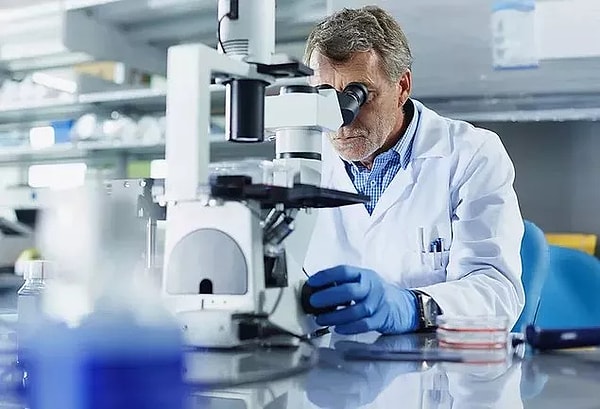 Boy uzunluğunu etkilediği bilinen 3290 gen varyantı incelendi.