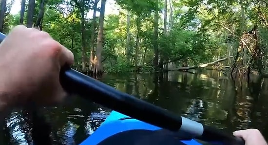 Ormanın İçinde Kano ile Gezerken Timsah Saldırına Uğrayan Adamın Korku ve Adrenalini Tavan Yaptığı Anlar