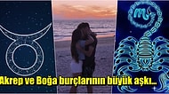 Boğa ve Akrep Burcu Arasındaki Karşı Konulamaz Çekim Enerjisinin Sırrı Nedir?