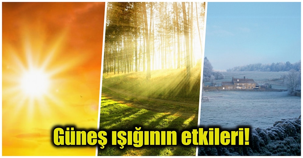 Güneşten Gelen Işınlar Bizi Gerçekten de Daha Mutlu ve Sağlıklı Bireylere Dönüştürüyor mu?