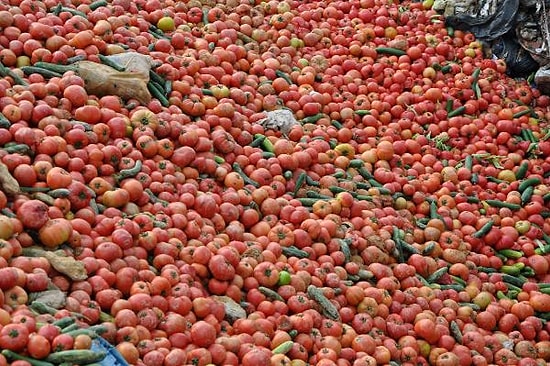 Antalya'da Çöpe Dökülen ve Tepki Çeken Kilolarca Sebze Hakkında Açıklama Yapıldı