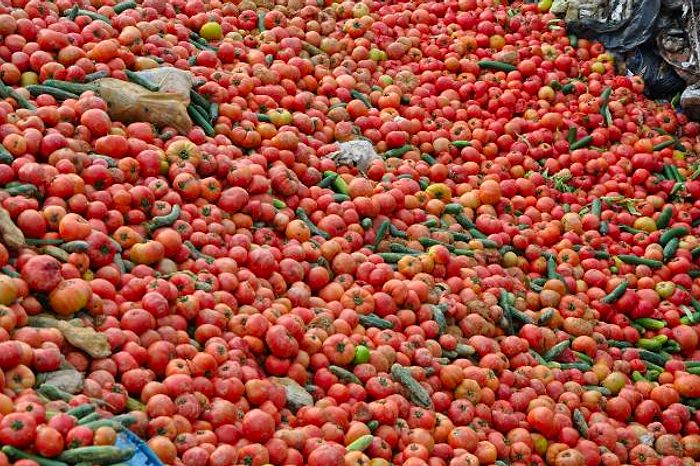 Antalya'da Çöpe Dökülen ve Tepki Çeken Kilolarca Sebze Hakkında Açıklama Yapıldı