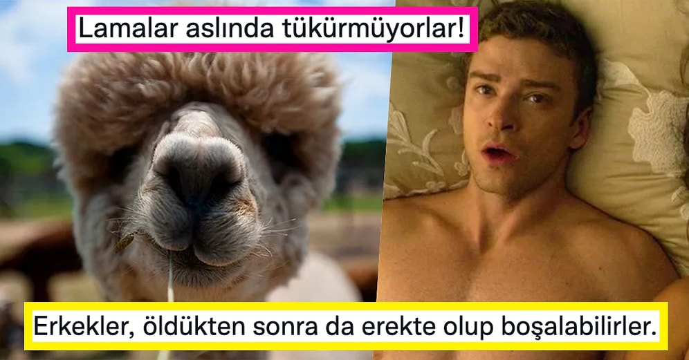 Öğrendiğiniz Anda Dehşete Kapılıp Tüm Bildiklerinizi Sorgulayacağınız Birbirinden Rahatsız Edici 15 Gerçek
