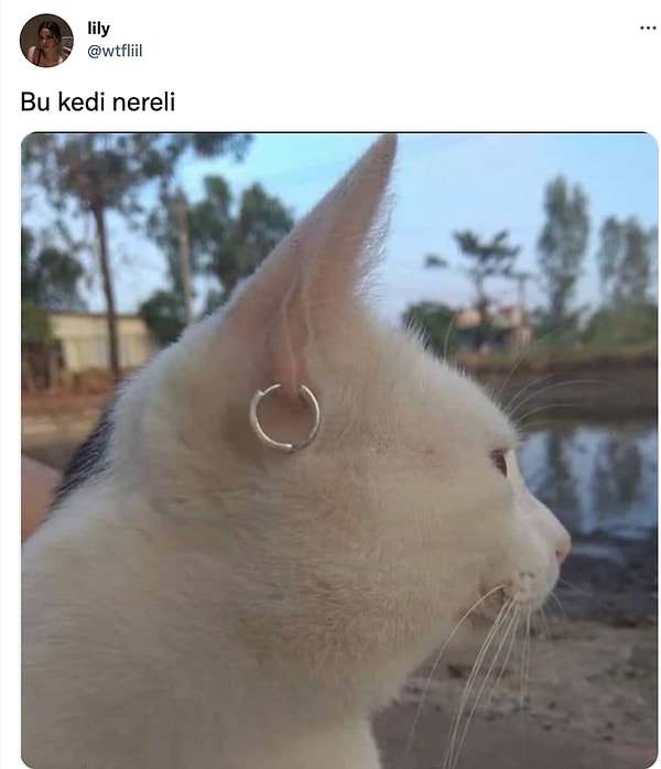 10. Çok tartışıldı ama çok da paylaşım aldı.