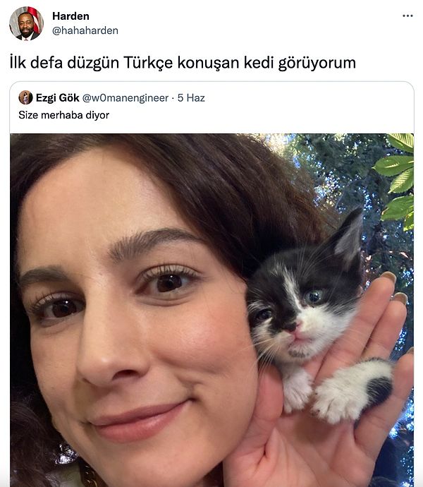 14. Sonunda kediler de Türkçe öğrendi.