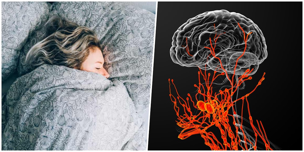 Her Sabah Alarmlarını Erteleyenler Buraya: Araştırmacılar Neden Bu Kadar Çok Uyuduğumuzun Sebebini Açıkladı!