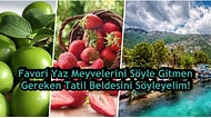 Favori Yaz Meyvelerini Söyle Gitmen Gereken Tatil Beldesini Söyleyelim!
