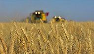 Türkiye, Venezuela'da Buğday Üretecek