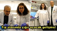 Türk Kadın Bilim İnsanı ve Harvard'lı Araştırmacılar Tip 1 Diyabet Hastalığı İçin Yeni Bir Tedavi Geliştirdi!