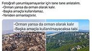 Orman Genel Müdürlüğü 'Orman Yansa da Orman Olarak Kalır' Dedi Sosyal Medya Sordu: 'Emin misiniz?'