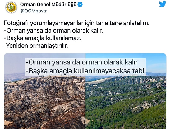 Orman Genel Müdürlüğü 'Orman Yansa da Orman Olarak Kalır' Dedi Sosyal Medya Sordu: 'Emin misiniz?'