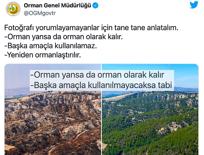 Orman Genel Müdürlüğü 'Orman Yansa da Orman Olarak Kalır' Dedi Sosyal Medya Sordu: 'Emin misiniz?'