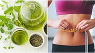 Antioksidan İçeriğiyle Parlayan Yeşil Çay Kilo Vermenize ve Yağ Yakmanıza Yardımcı Olabilir mi?