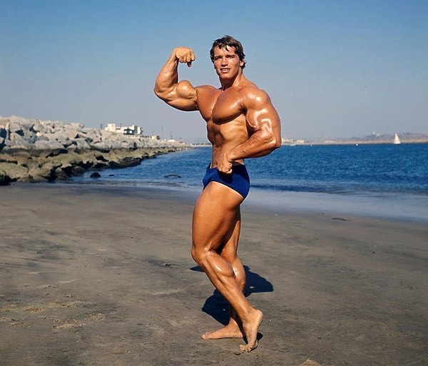 Arnold Schwarzenegger