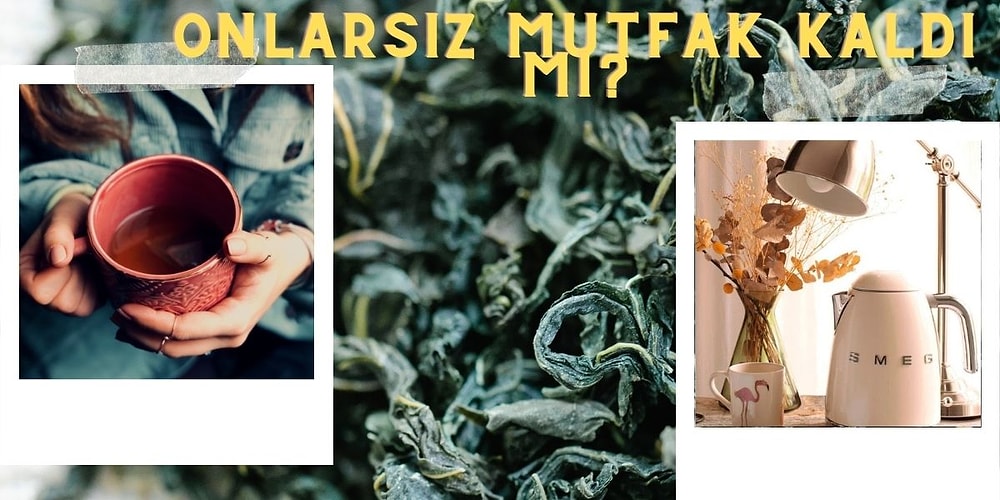 Çaylar Demlensin Yemekler Yapılsın Diye En Güzel Su Isıtıcı ve Çay Makinelerini Derledik