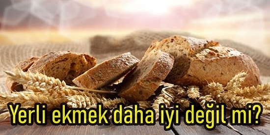 Arpa, Buğday, Daneler: Venezuela'dan Sudan'a Türkiye'nin Buğday Yolculuğu! Buğday Fiyatları Düşer mi?