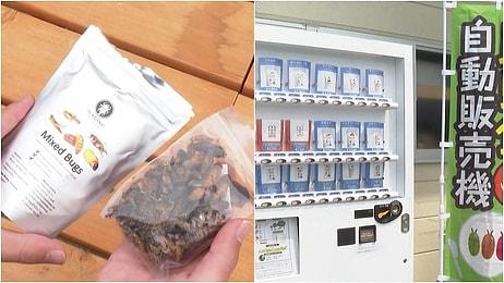 Japonya'da Otomatlarda 'Kurutulmuş Böcek Cipsi' Satılmaya Başlandı