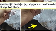 Akrep Sokan Hastasının Akrebi Yanında Getirmesini Gülerek Twitter'da Paylaşan Doktora Tepki Yağdı
