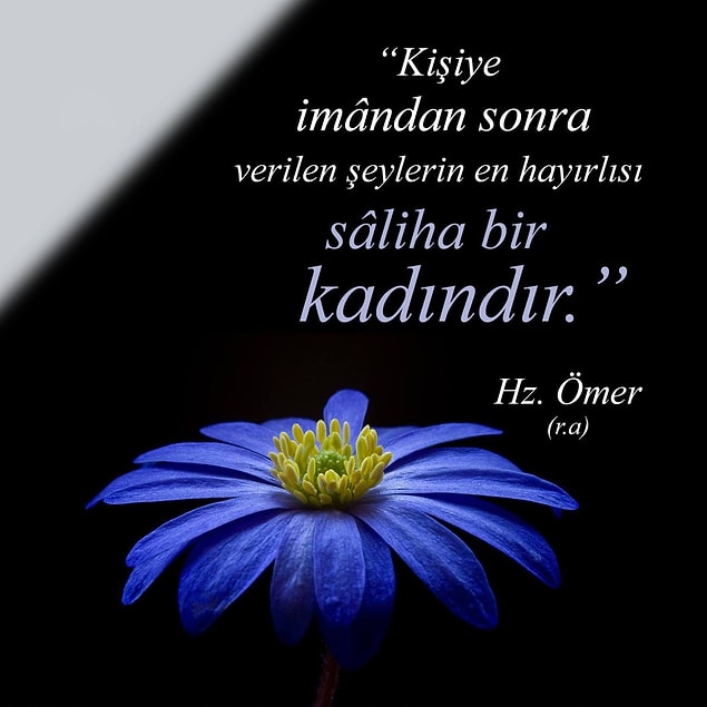 Hz. Ömer (R.a) Sözleri Hz. Ömer'in Hayat, Adalet, Haksızlık ve İslam Hakkında Söylediği